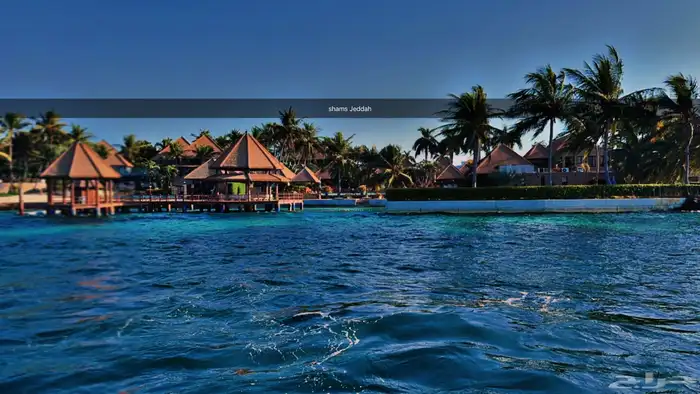 رحلات بحرية لجزيرة بياضة 23