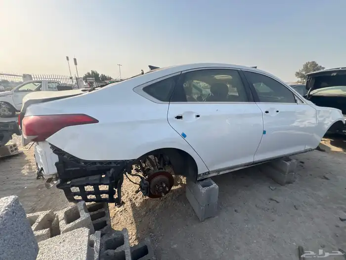 جنسس 1