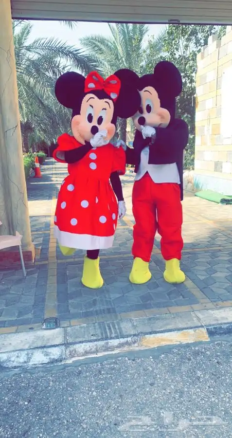 تجهيز حفلات التخرج 14