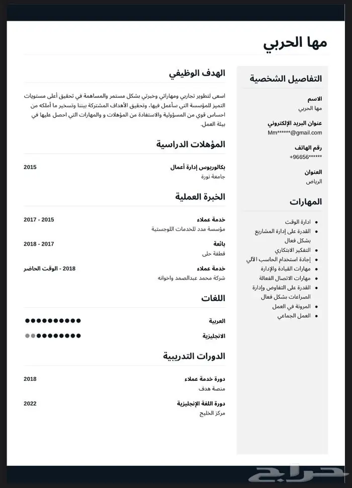 سيرة ذاتية احترافية pdf اللغتين في نفس اليوم 1