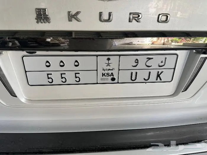 للبيع لوحه مميزه 555 3