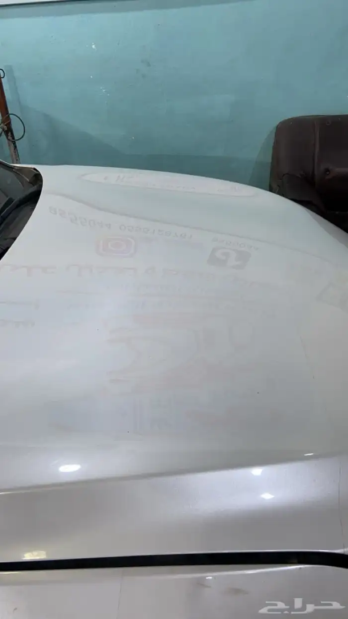 كبوت افلون 2019 3