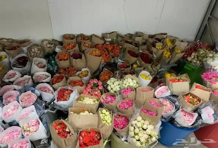 ورود بأسعار الجمله 1