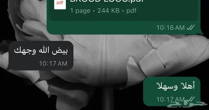 مكتب ترجمة معتمد 5