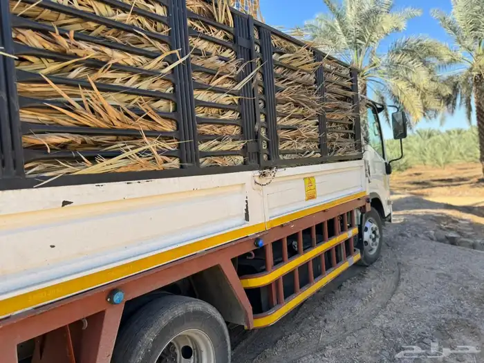 سعف نخل جريد عسيب 2