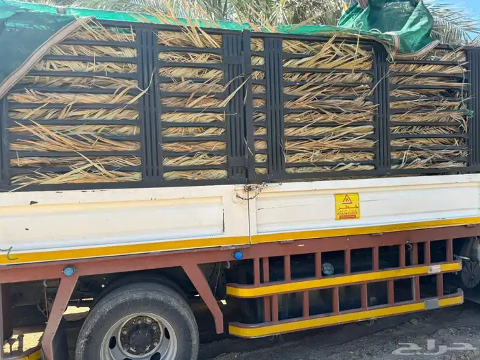 سعف نخل جريد عسيب 1