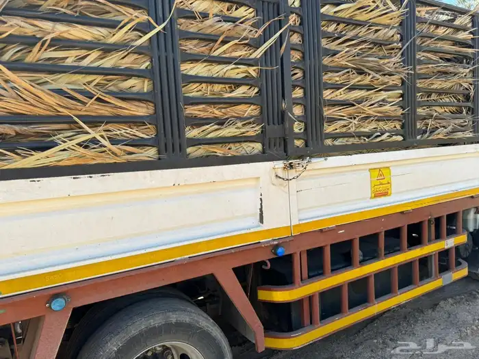 سعف نخل جريد عسيب 4