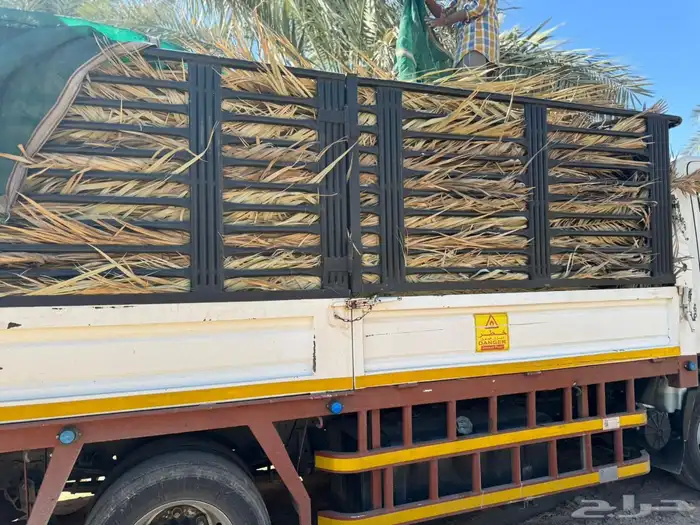 سعف نخل جريد عسيب 3