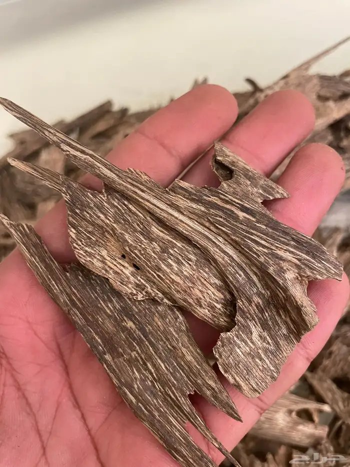 بخور طبيعي ومشرووط 7