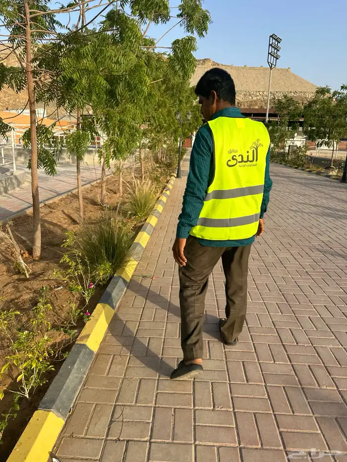 مشاتل زراعية جملة 7