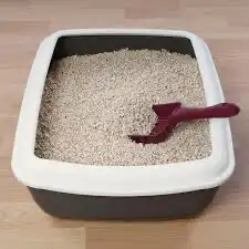 لتر بوكس رمل قطط قفص قط قطط قطه 0