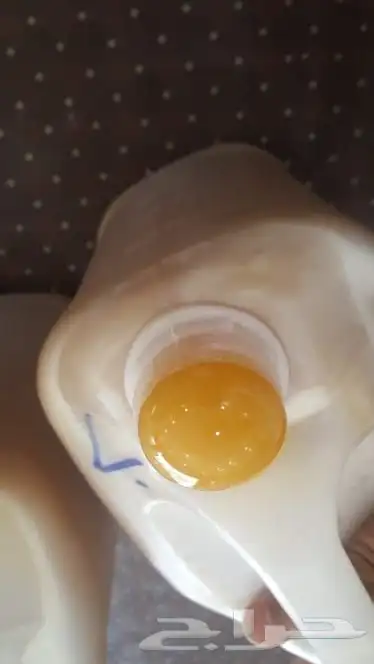 العسل السدر  الأصلي 3