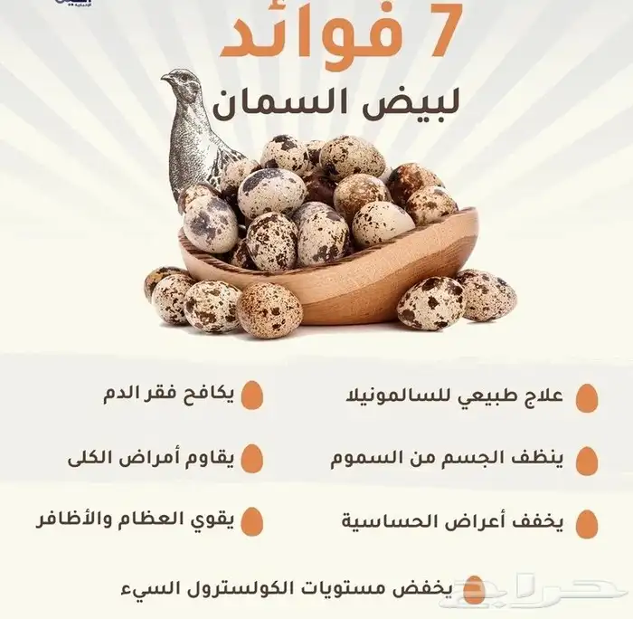 سمان فري مريعي سوبر جامبو ذبح وتربيه 4