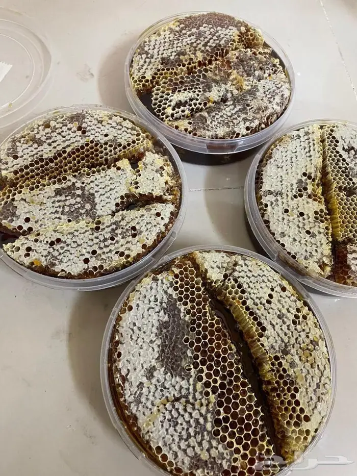 عسل سمرة انتاج فاخر 11
