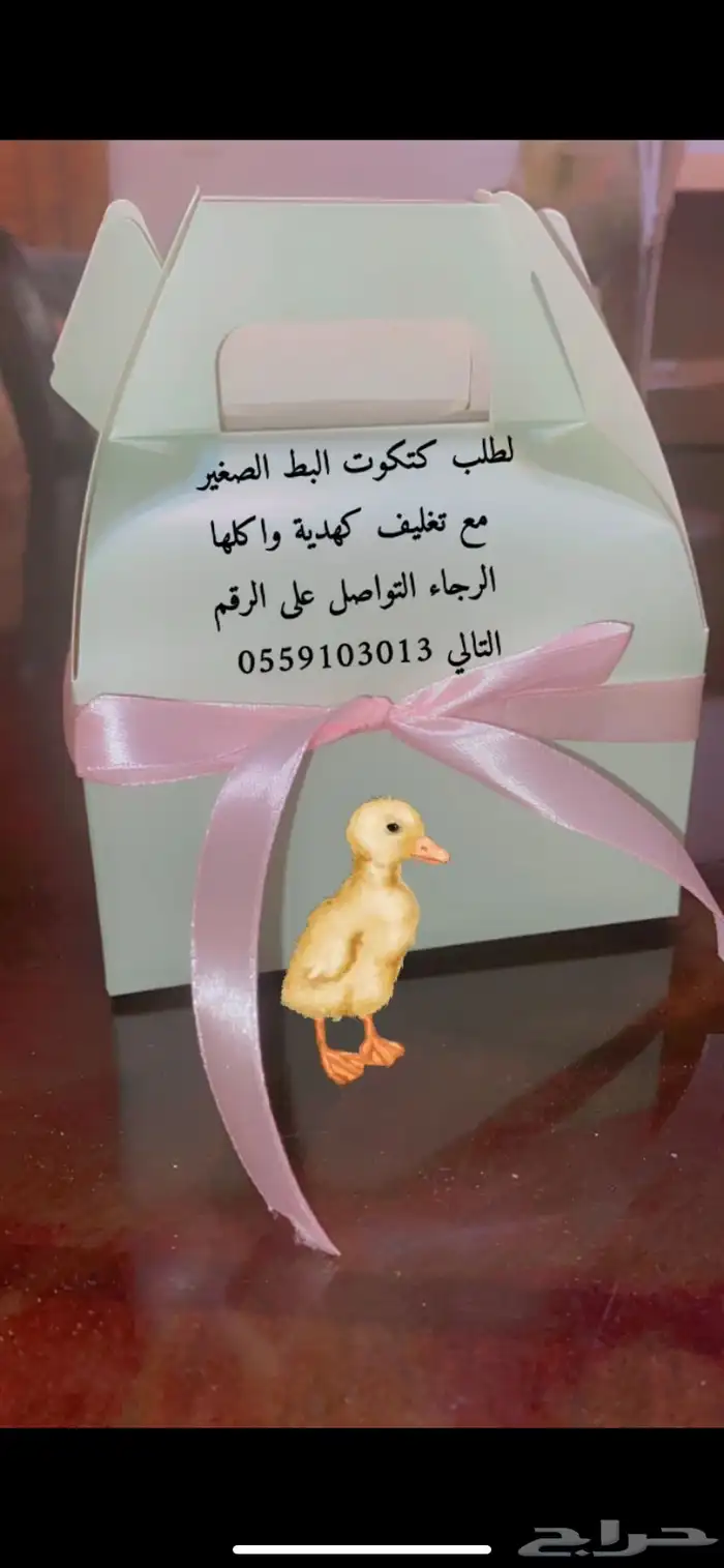 بطات كتاكيت صغار اصفر صافي للبيع في جدة 13