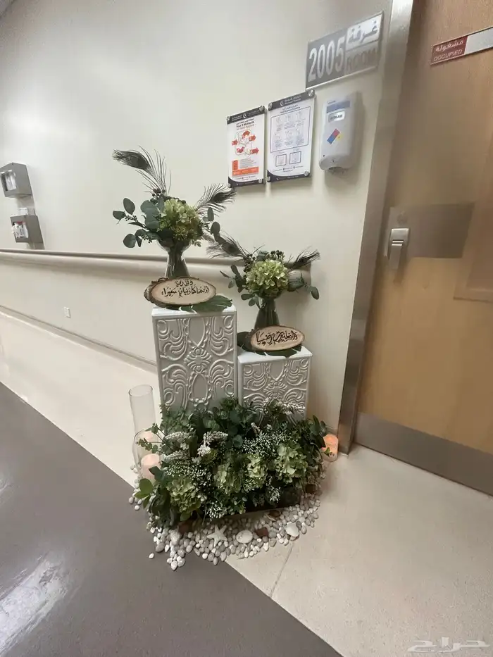 تاجير باليوم 2