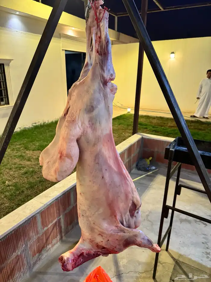 معلم مشويات خارجي 5