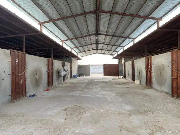 ايواء اسطبل بوايك 3