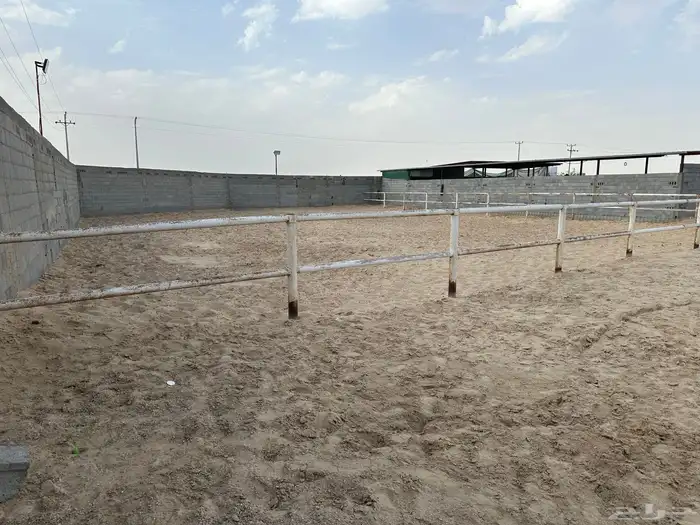 ايواء اسطبل بوايك 1