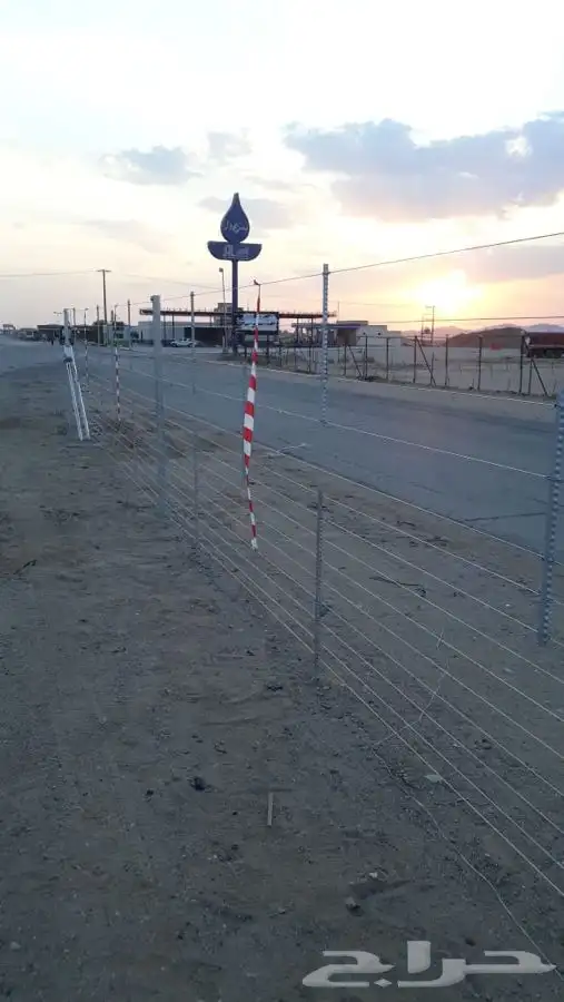 شبوك_مزارع 10