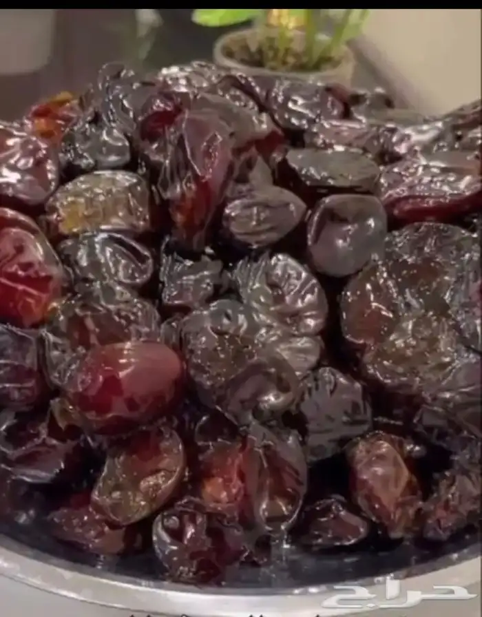 تمر حلوة الجوف 4