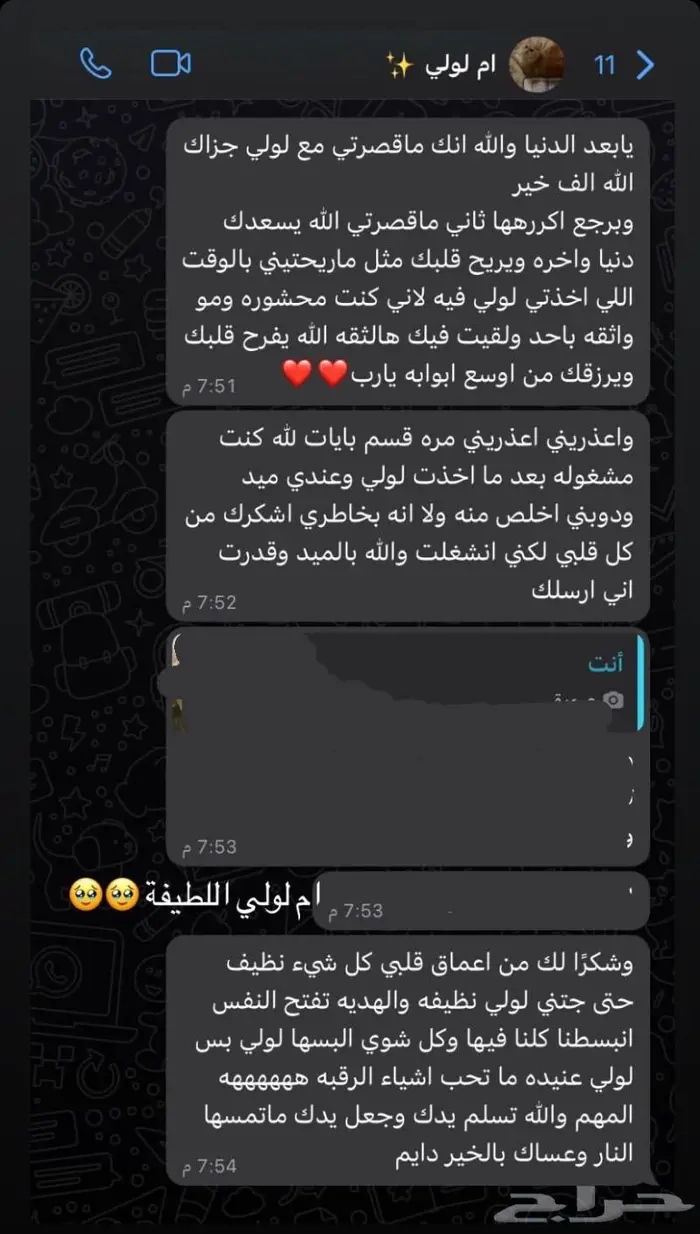 فندقة قطط ابها وخميس مشيط المنزلية تستقبل قططكم بكل ح ب 2