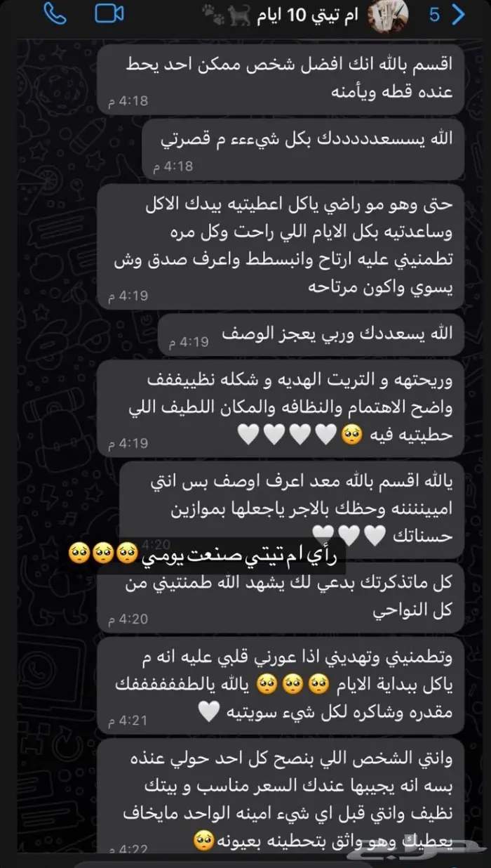 فندقة قطط ابها وخميس مشيط المنزلية تستقبل قططكم بكل ح ب 5