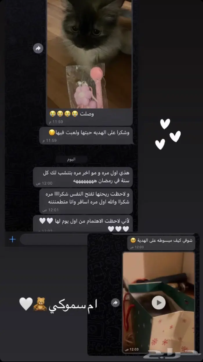 فندقة قطط ابها وخميس مشيط المنزلية تستقبل قططكم بكل ح ب 3