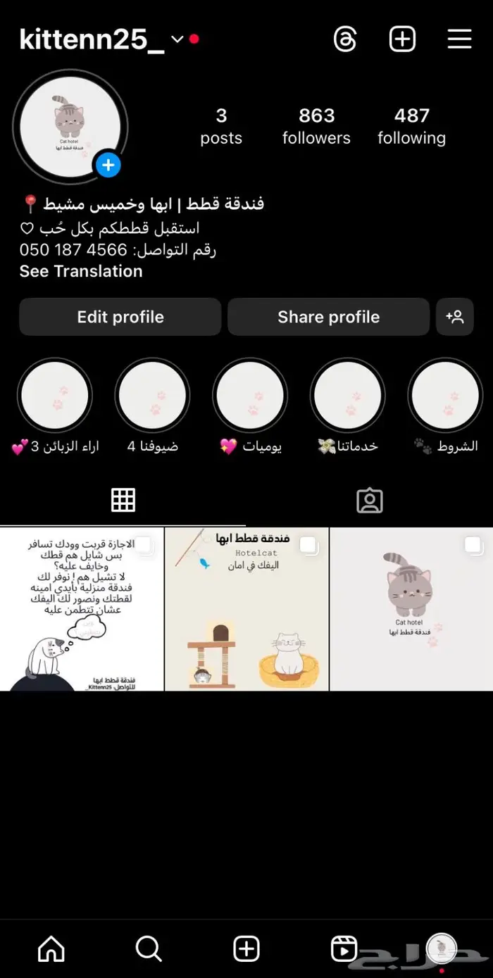 فندقة قطط ابها وخميس مشيط المنزلية تستقبل قططكم بكل ح ب 1