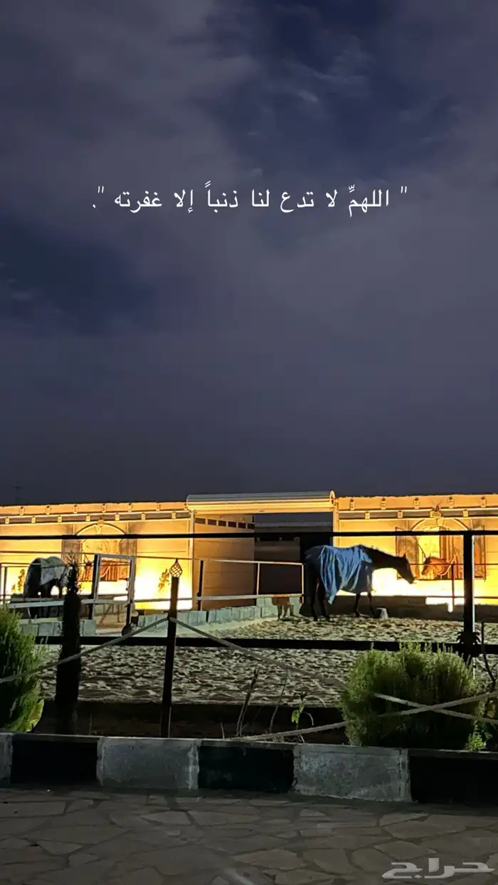 مربط الفهد بالقريات 14