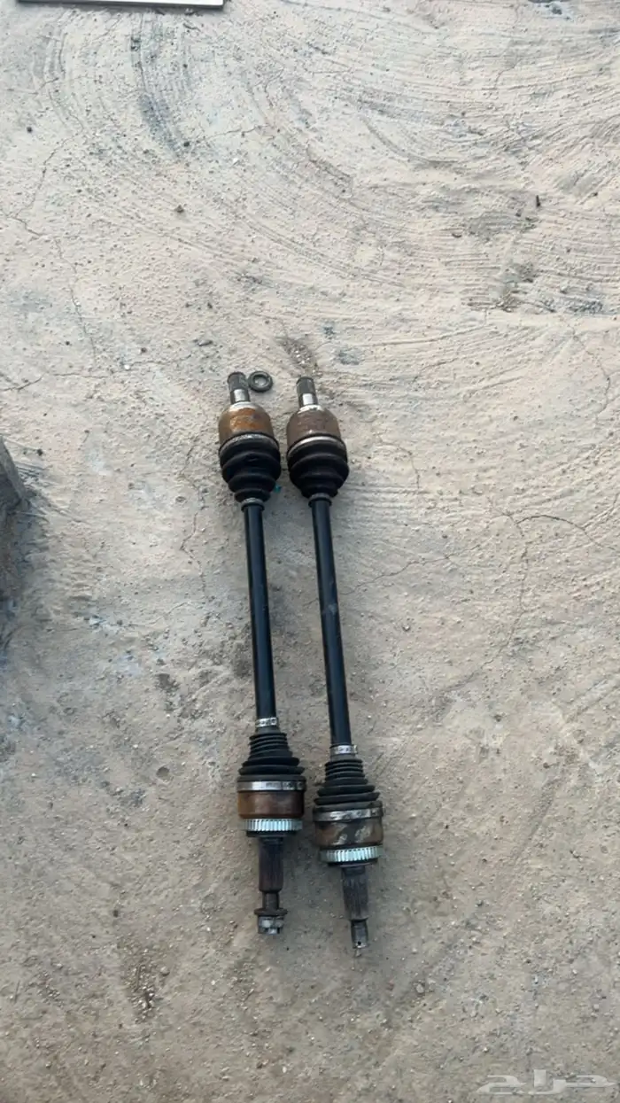 عكوس جنسس كوبيه 0