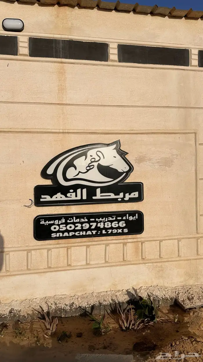 مربط الفهد بالقريات 1