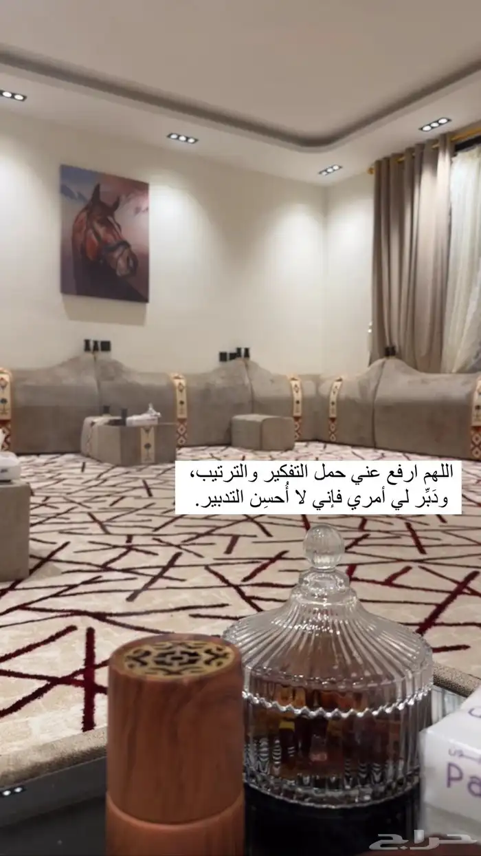 مربط الفهد بالقريات 11