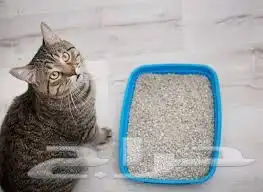 مستلزمات قطط سقايه اكاله قطط 3