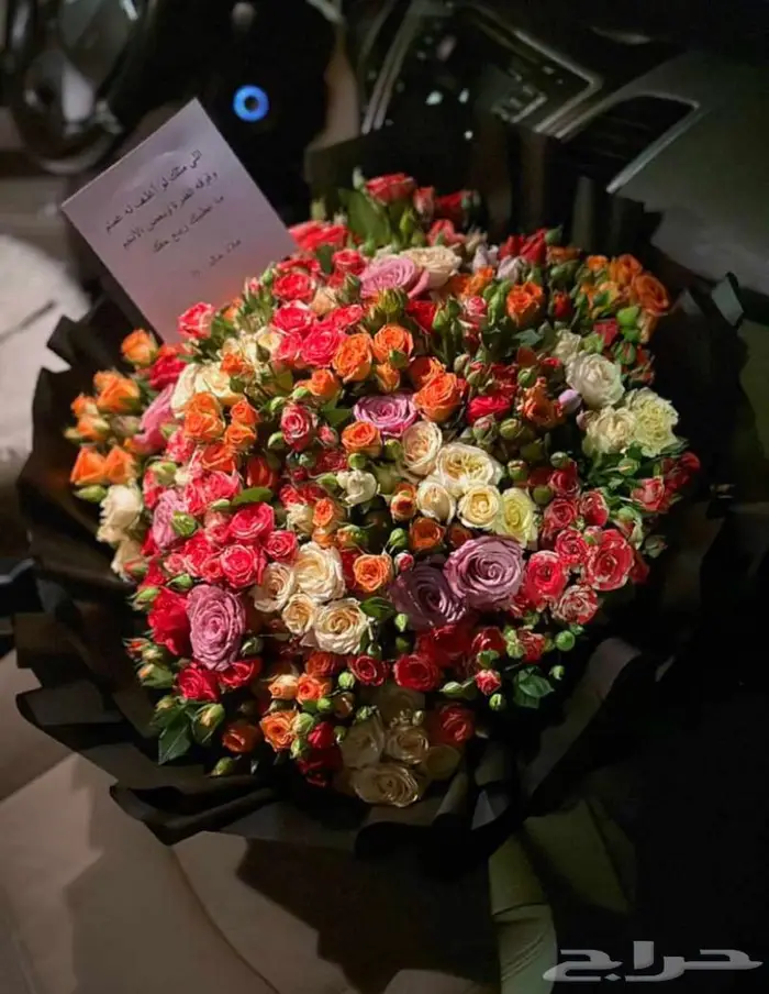 لدينا كل ما يخص الحفلات 13