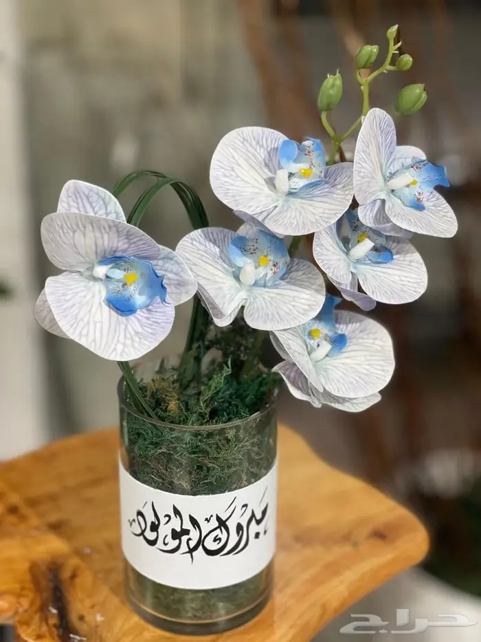 لدينا كل ما يخص الحفلات 38