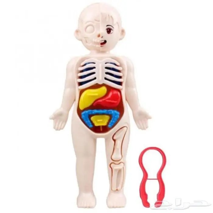 العاب تعليميه 6