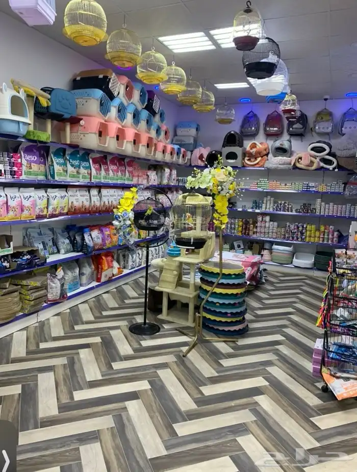 يتوفر لدينا اكثر من نوع رمل للقطط تراب 2