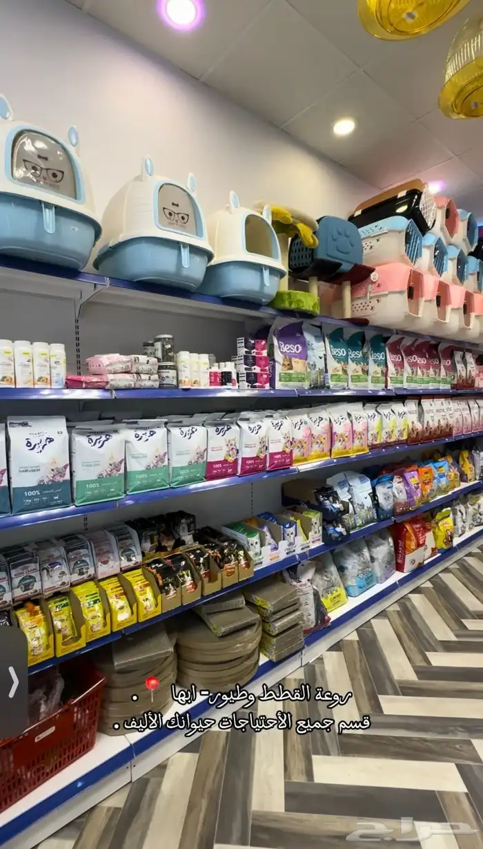 يتوفر لدينا اكثر من نوع رمل للقطط تراب 3