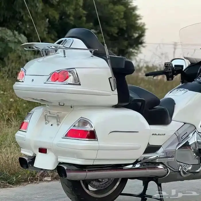 اصطب قولد وينق 2