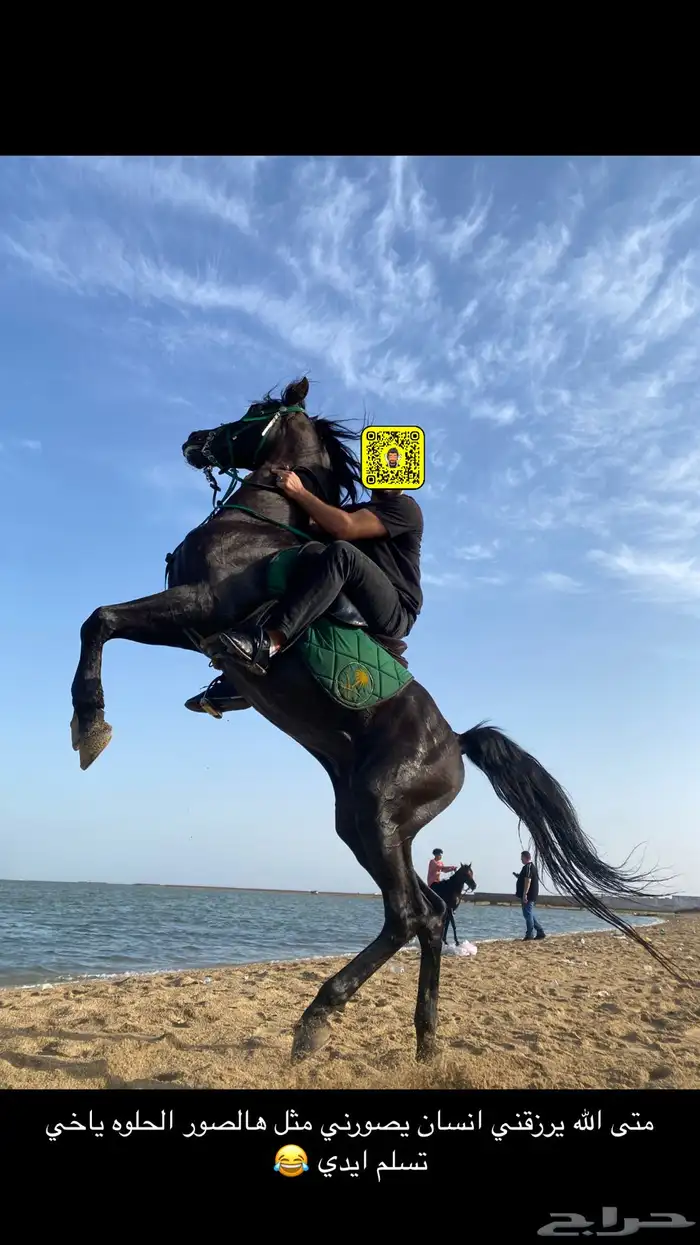 خيول للإيجار ركوب على البحر 1