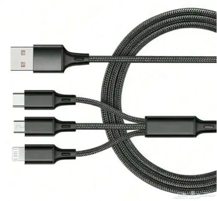 فيش سفر جداري متعدد (جديد) 4