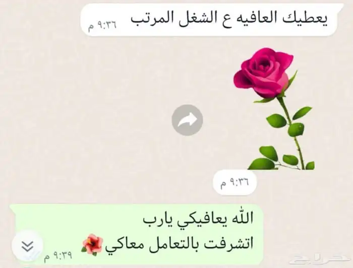 حلويات ام ملك لجميع المناسبات 44