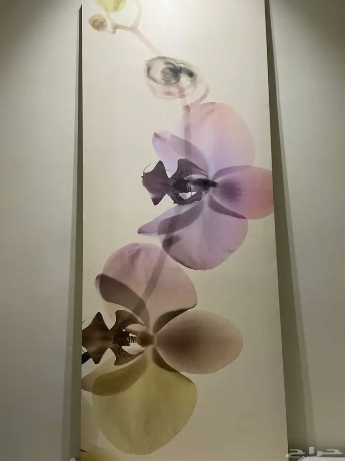 لوحة ايكيا 1