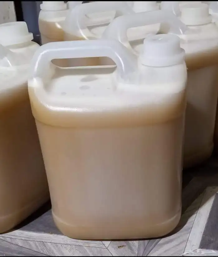 سدر عصيمي ملكي 1