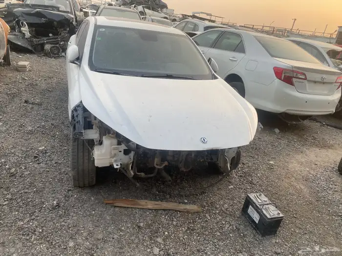 دونوج فنج 4