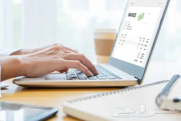 سيرة ذاتية احترافية خدمات الكترونية 1