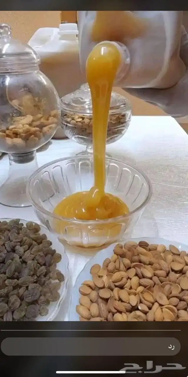 سدر عصيمي ملكي 4