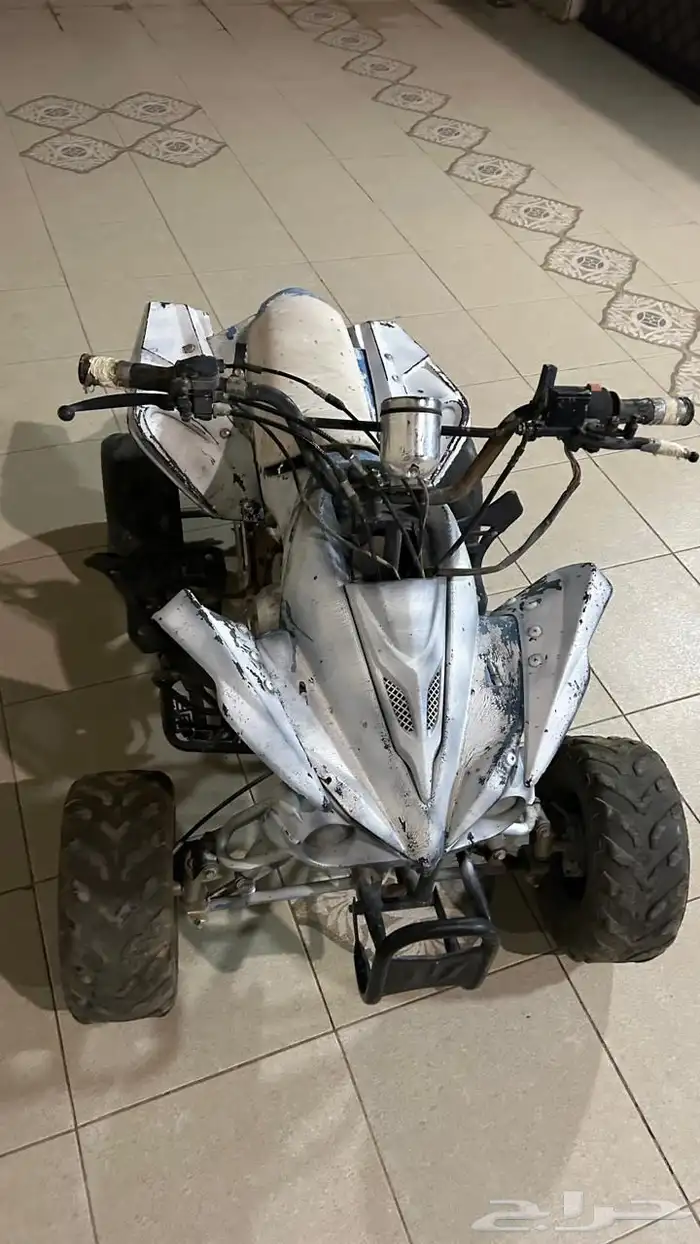 دباب ابيض للبيع 0