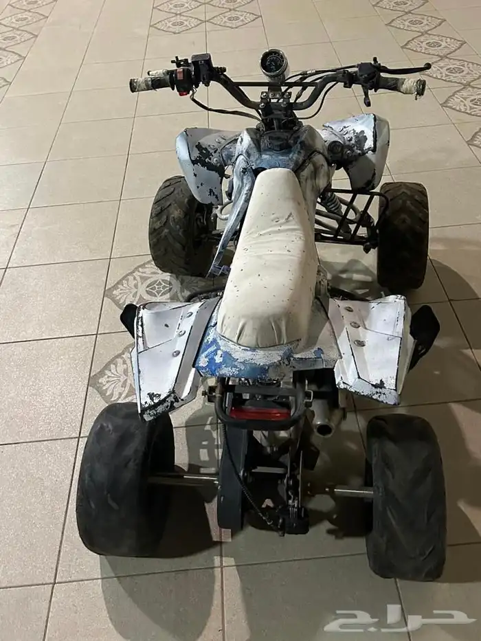 دباب ابيض للبيع 3